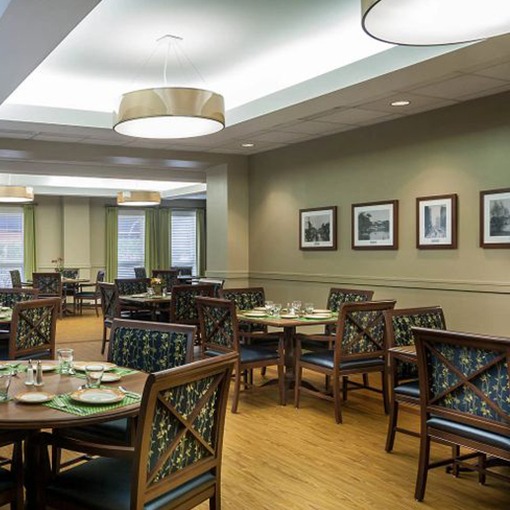 Senior Living - Corporate Artworks